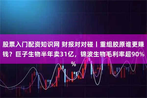股票入门配资知识网 财报对对碰丨重组胶原谁更赚钱?巨子生物半年卖31亿,锦波生物毛利率超90%